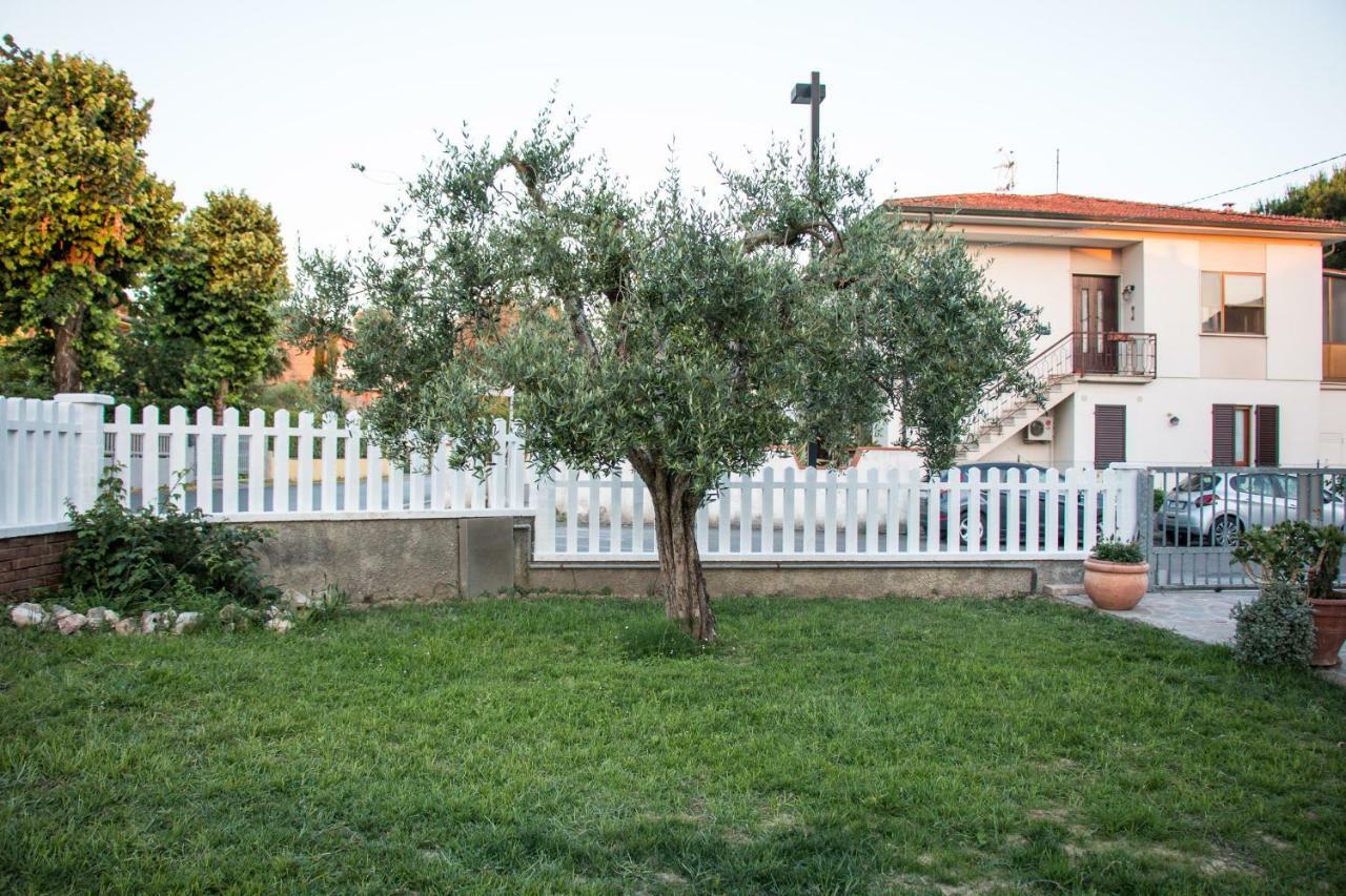 Luca'S Home In Tuscany Arena Metato Zewnętrze zdjęcie